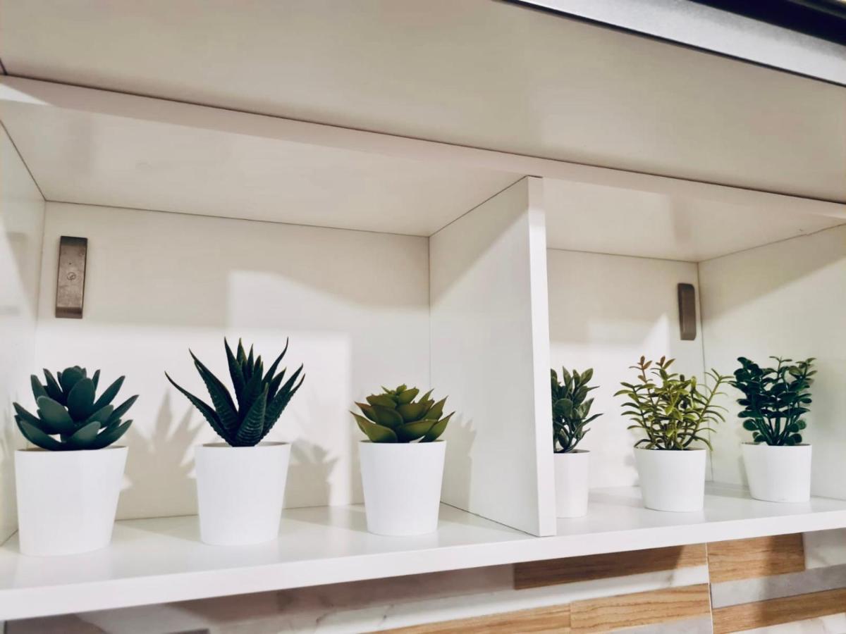 Apartamento St. Peter'S Stone Roma Exterior foto